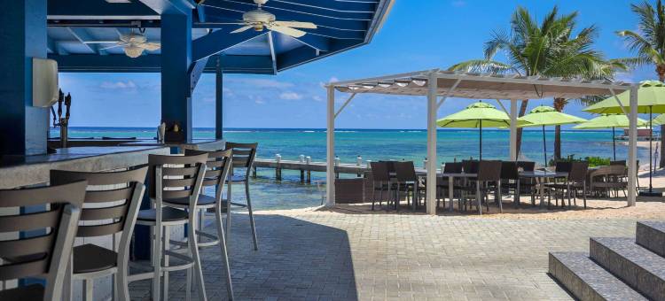 大开曼岛温德姆珊瑚度假村(Wyndham Reef Resort Grand Cayman)图片