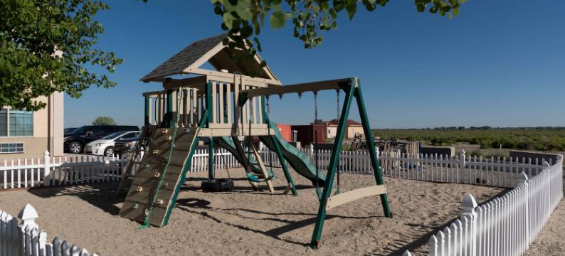 阿拉莫萨舒适套房酒店(Comfort Inn & Suites Alamosa)图片