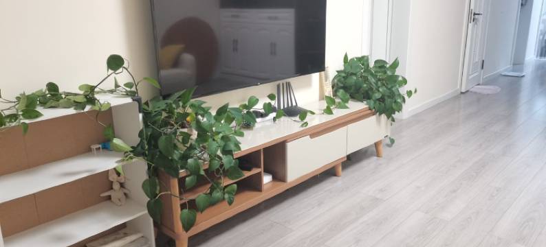 房东桦姐公寓(二七街分店)图片