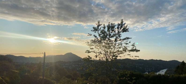 阿尔维酒店(Alver Hotel)图片