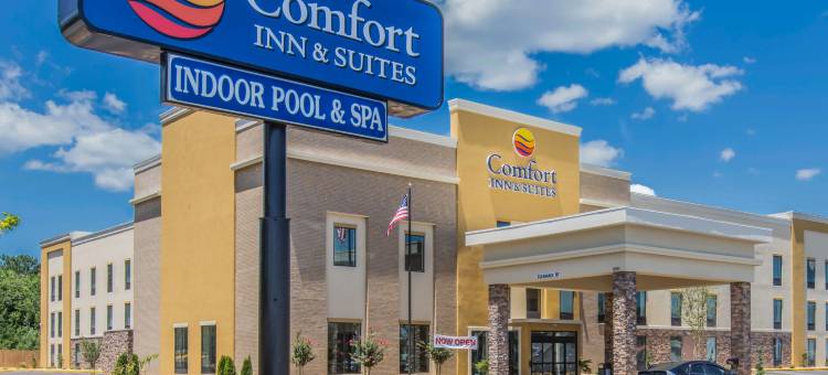 梅肯西舒适套房酒店(Comfort Inn & Suites Macon West)图片