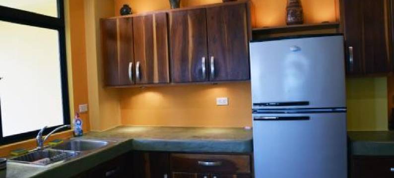 Beachfront Condo El Torreón San Juan del Sur图片