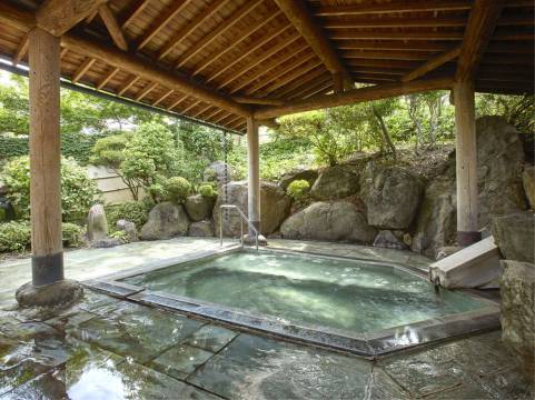 天童温泉 一乐温泉日式旅馆(TENDO SPA & BREWERY)(Yubo Ichiraku TENDO SPA&BREWERY)图片