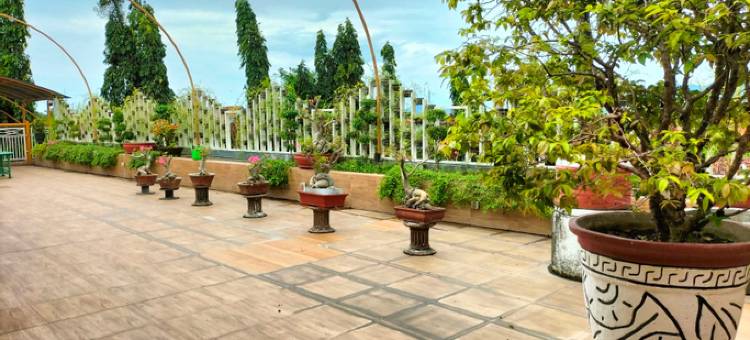 Sunflower Banyuwangi Hotel图片