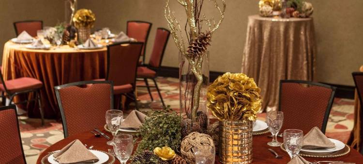 埃尔帕索希尔顿花园酒店/大学(Hilton Garden Inn El Paso / University)图片