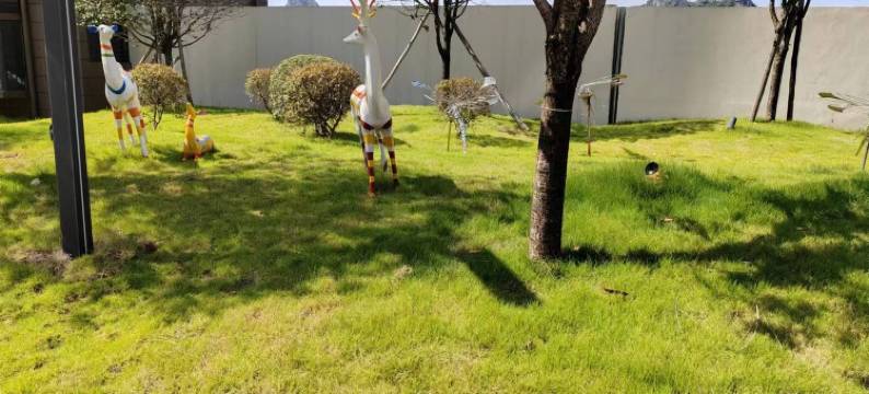 老王展洲公馆公寓(秧塘路分店)图片