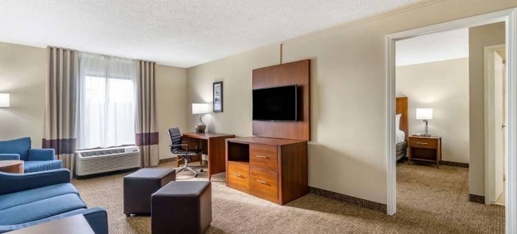 舒适酒店及套房-圣彼得堡-克利尔沃特国际机场(Comfort Inn & Suites St Pete - Clearwater International Airport)图片