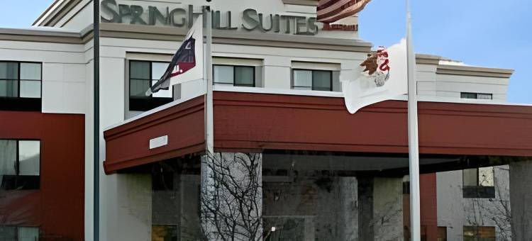 芝加哥波林布鲁克万豪SpringHill酒店(SpringHill Suites Chicago Bolingbrook)图片
