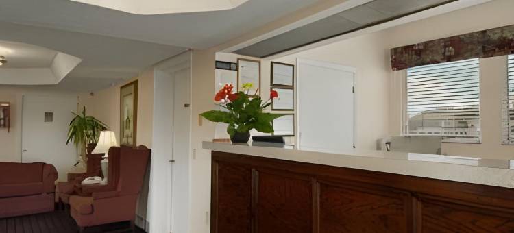 安蒂奥-纳什维尔东南速8酒店(Super 8 by Wyndham Antioch/Nashville South East)图片