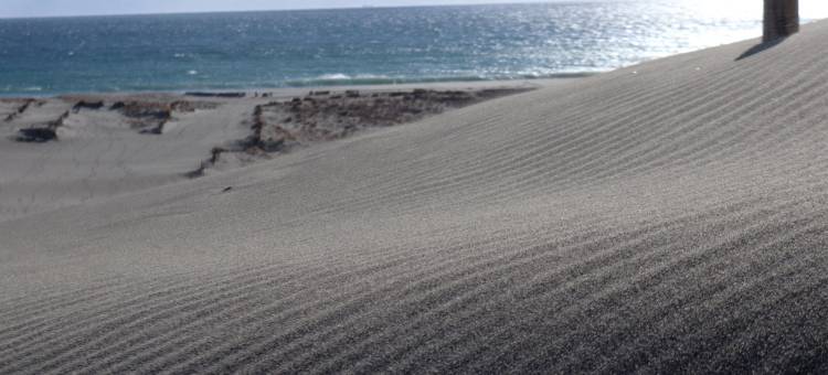 滨松车站酒店(Hamamatsu Station Hotel)图片