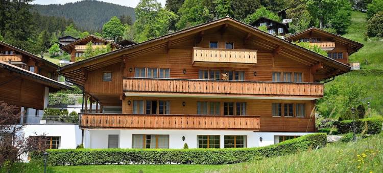 施瓦茨霍夫浪漫酒店(Romantik Hotel Schweizerhof)图片