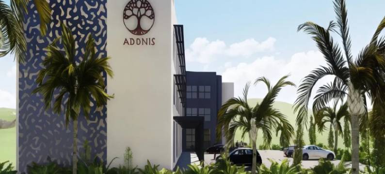 阿多尼斯库佩科伊(Adonis Cupecoy)图片