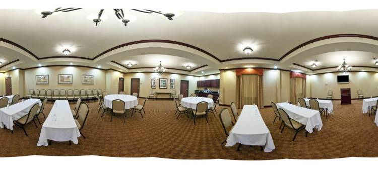 智选假日套房酒店雅典(Holiday Inn Express & Suites Athens)图片