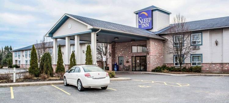 布雷斯桥斯利普酒店(Comfort Inn)图片