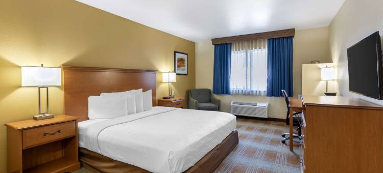 基瓦贝斯特韦斯特酒店(Best Western Kiva Inn)图片