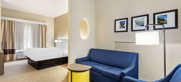 梅里尔维尔舒适套房酒店 - 近 US 30(Comfort Suites Merrillville Near US 30)图片