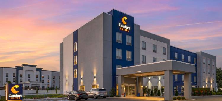 舒适套房(Comfort Suites)图片