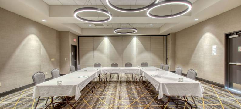 阿普尔顿威斯康星假日酒店(Holiday Inn APPLETON by IHG)图片