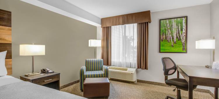 林赛戴斯套房酒店(Days Inn & Suites by Wyndham Lindsay)图片