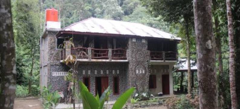 Rinte Green Village & Bukit Lawang Jungle Trekking图片