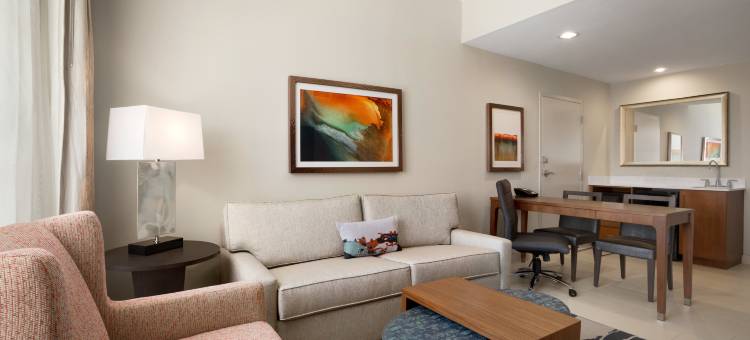 迈克艾伦会议中心希尔顿安泊酒店(Embassy Suites by Hilton McAllen Convention Center)图片