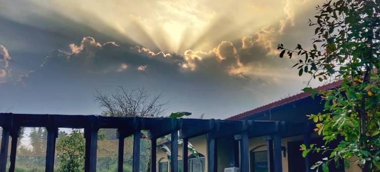 欢庆万维拉斯酒店(The Celebration Van Vilas)图片