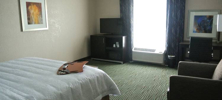 希尔顿欢朋酒店-卡里索斯普林斯(Hampton Inn Carrizo Springs)图片