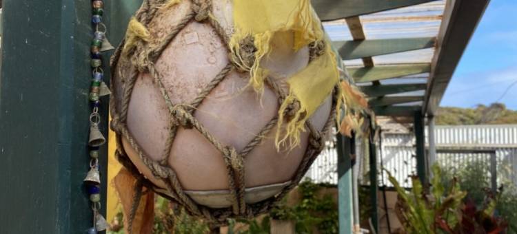 Koru Cottage is a cosy home nestled in the dunes of beautiful Vivonne Bay on KI.图片