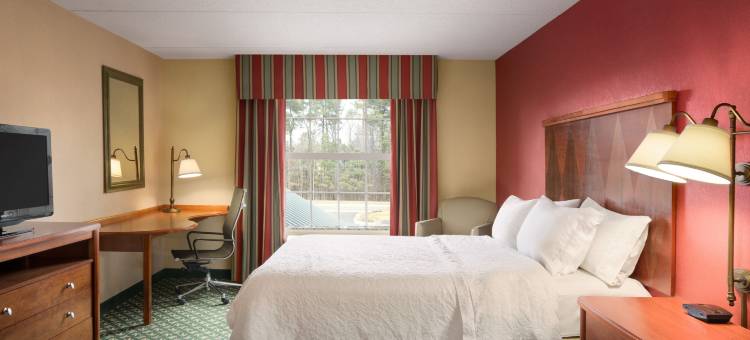 威廉斯堡中心欢朋套房酒店(Hampton Inn & Suites Williamsburg-Central)图片