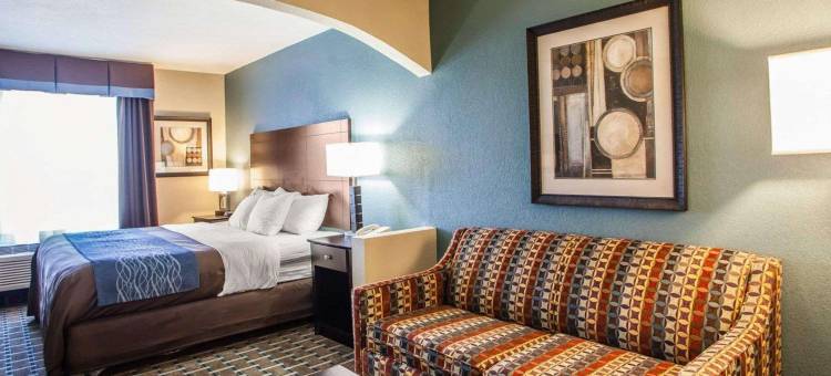 舒适酒店-利斯萨米特50号及291号高速公路(Comfort Inn Lees Summit - Hwy 50 & Hwy 291)图片