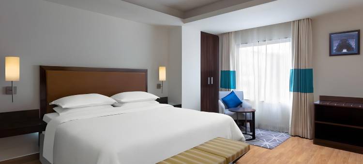 瓦多达拉福朋喜来登酒店(Four Points by Sheraton Vadodara)图片