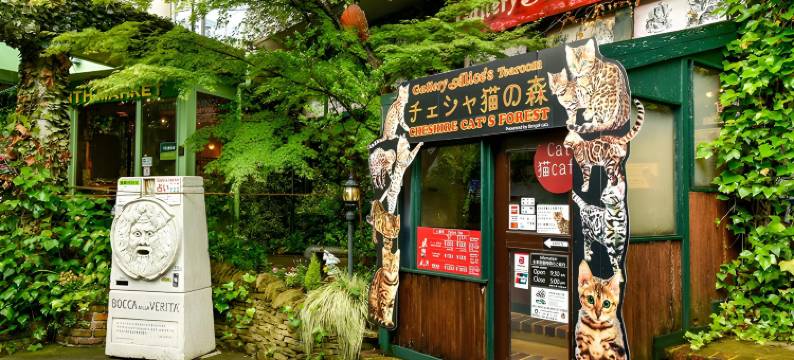 汤布院花乡酒店(Yufuin Floral Village Hotel)图片