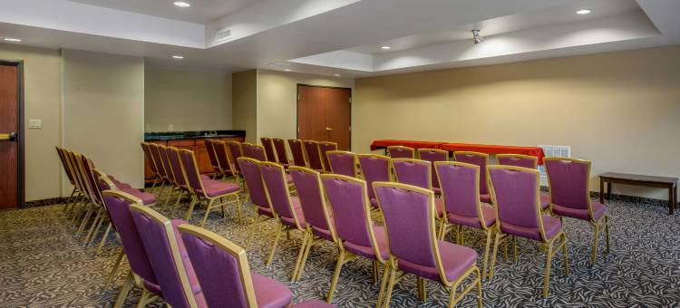 锡福德舒适全套房酒店(Comfort Suites)图片