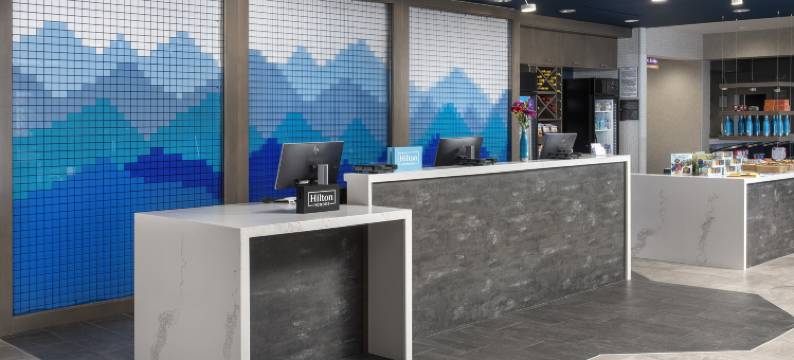 丹佛机场塔路希尔顿Tru酒店(Tru by Hilton Denver Airport Tower Road)图片