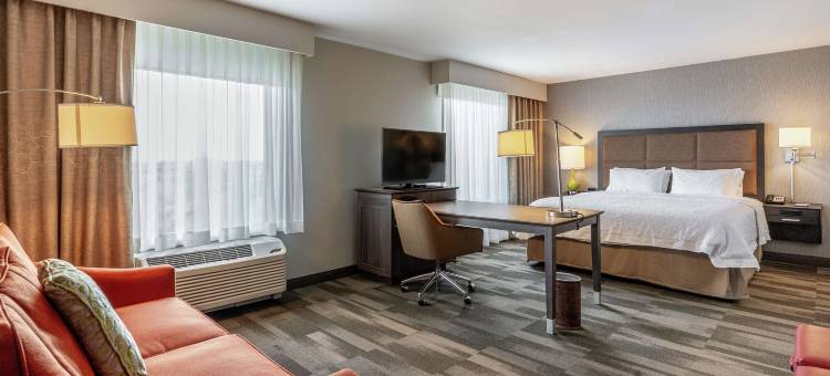 德克萨斯乔治敦/北奥斯汀欢朋酒店及套房(Hampton Inn & Suites Georgetown)图片