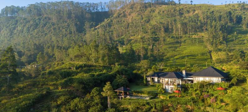 茶花山(Camellia Hills)图片