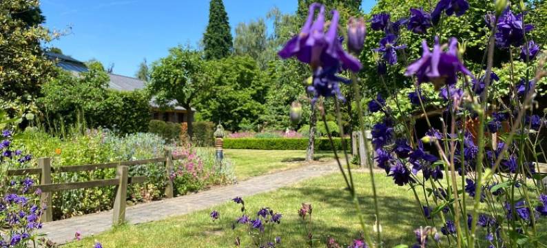 可容纳十人的莱恩德度假屋(Village House in Leende Near Star Restaurant)图片