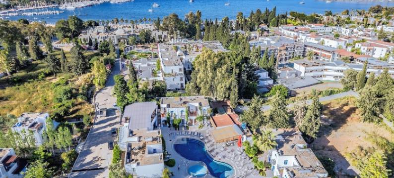 PALOMA FAMILY CLUB(PALOMA FAMILY CLUB)图片