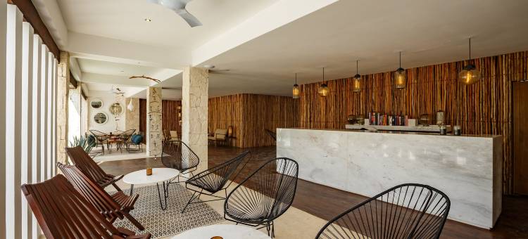 卡曼海滩HM酒店(HM Playa del Carmen)图片