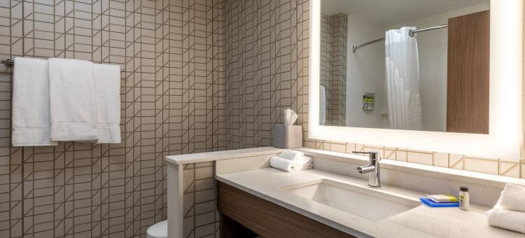 盖恩斯维尔拉尼尔湖区智选假日套房酒店(Holiday Inn Express & Suites Gainesville - Lake Lanier Area)图片