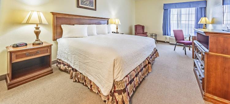 布兰森大厦酒店(Branson Towers Hotel)图片