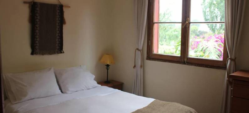 EL ARBOL旅舍(El Arbol Hostel)图片