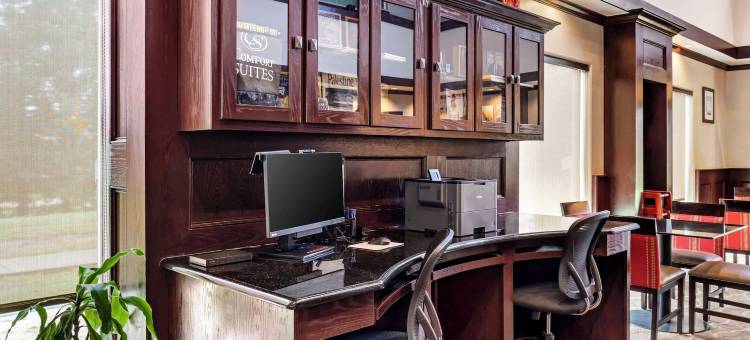 舒适全套房酒店(Comfort Suites)图片