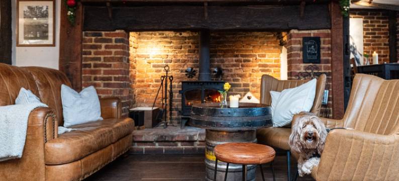 格林布尔酒店(The Bull on the Green)图片