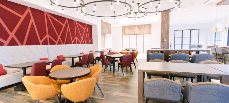 希尔顿花园酒店-冬季公园(Hilton Garden Inn Winter Park)图片