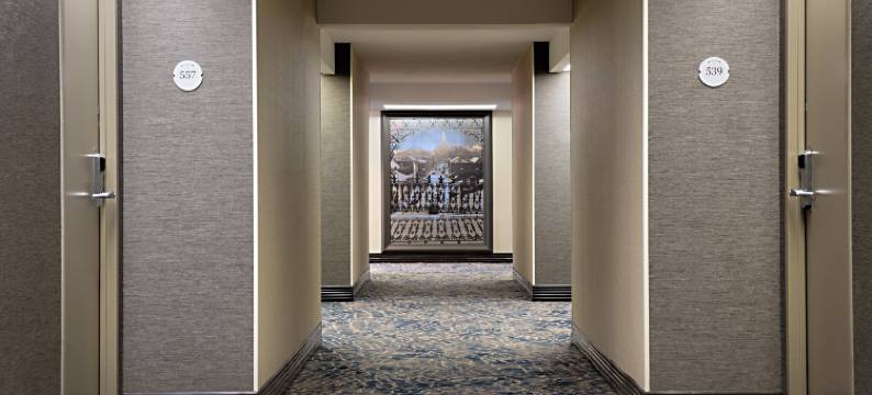 新奥尔良希尔顿机场酒店(Hilton New Orleans Airport)图片