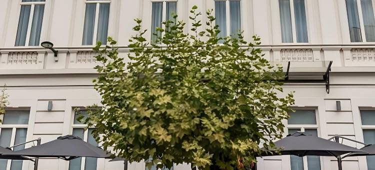 努玛 | 利夫(Numa l Lief)图片