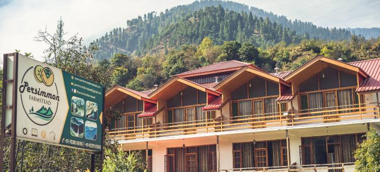 柿子农庄(PERSIMMON FARMSTEAD)图片