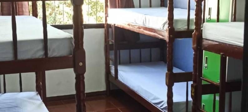 365 旅馆(Hostel365)图片