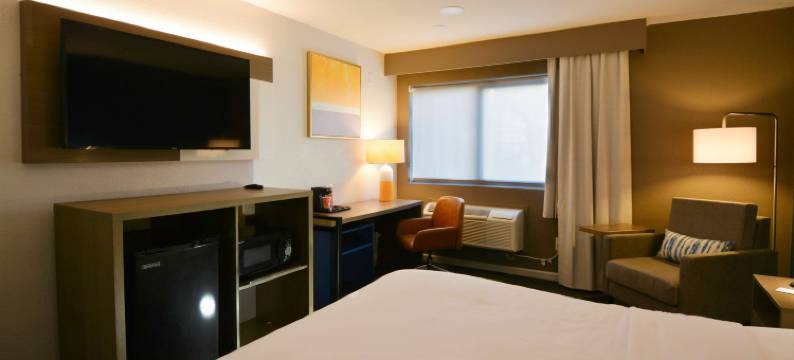 舒适套房酒店-近莫雷诺谷马奇空军预备基地(Comfort Inn & Suites Moreno Valley Near March Air Reserve Base)图片